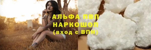 a pvp Магас