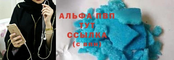 a pvp Магас