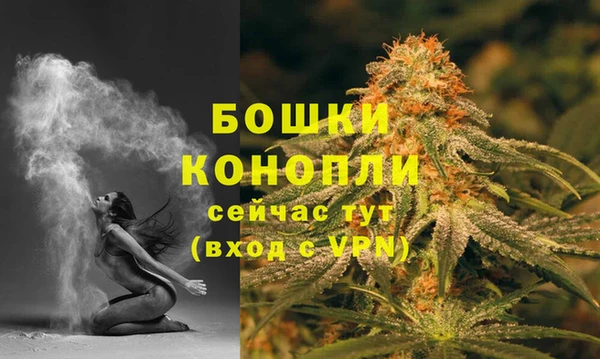 бутират Мегион