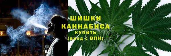 a pvp Магас