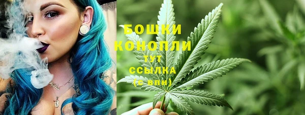 a pvp Магас