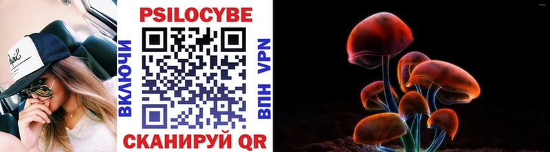 Галлюциногенные грибы Cubensis Черепаново