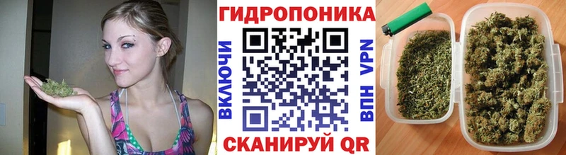 Каннабис MAZAR  купить наркотик  Черепаново 